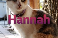 Hannah