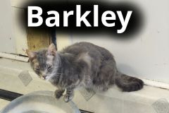 Barkley