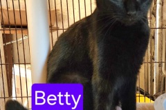 Betty-labeled