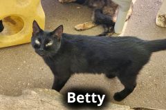 Betty