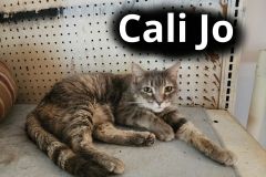 Cali-Jo