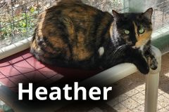 Heather