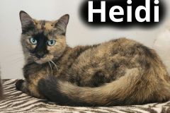 Heidi