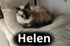Helen