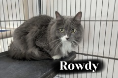 Rowdy