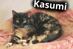 Kasumi
