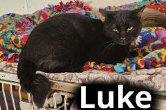 Luke
