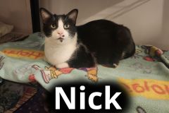 Nick
