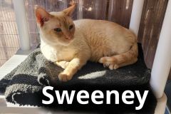 Sweeney