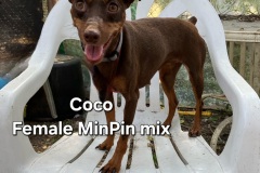 2_Coco