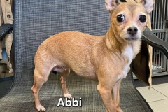 Abbi