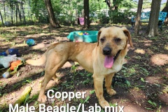 Copper
