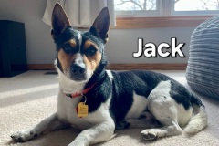 Jack