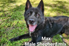Max