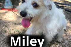 Miley
