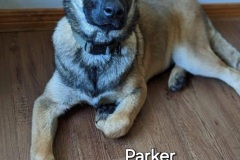 Parker