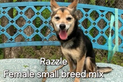 Razzle-
