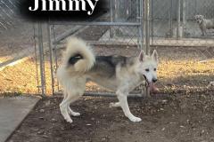 Jimmy
