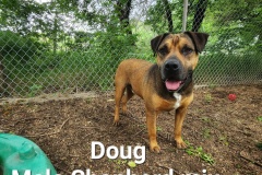Doug