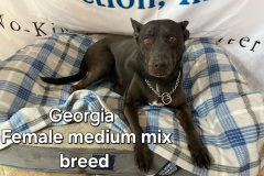 Georgia