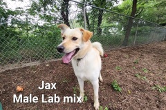 Jax