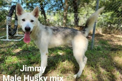 Jimmy