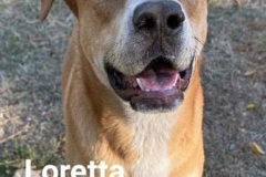 Loretta-