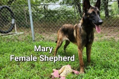 Mary