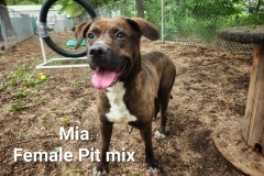 Mia