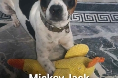 Mickey-Jack