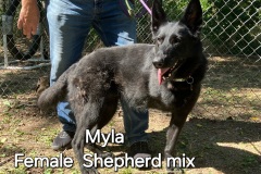 Myla