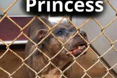 Princess
