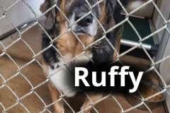 Ruffy