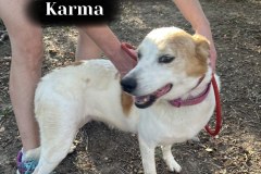 Karma