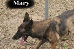 Mary