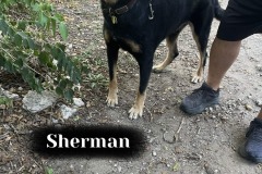 Sherman