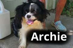Archie