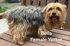 Bella