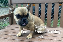 Donna
