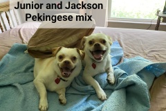 JuniorJackson