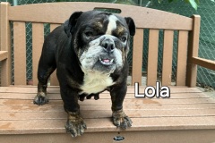 Lola