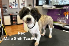 Rex