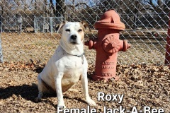 Roxy.