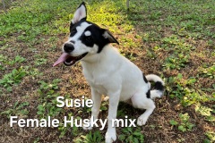 Susie