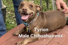 Tyrion