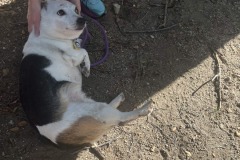 Maggie